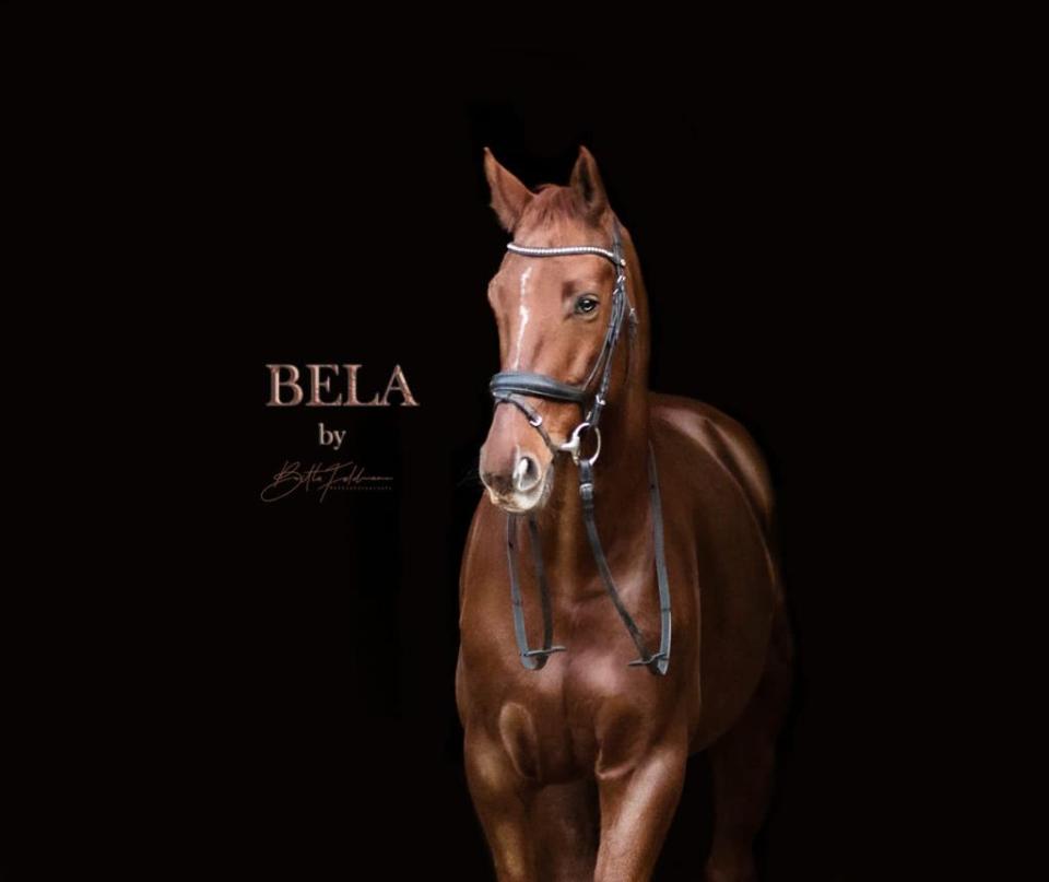 Bela