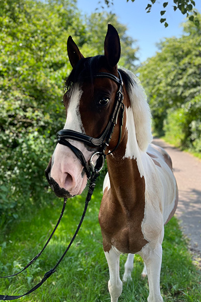 Winnetou